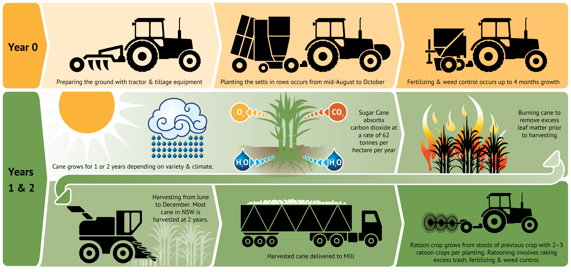 Sugar Farming Cycle